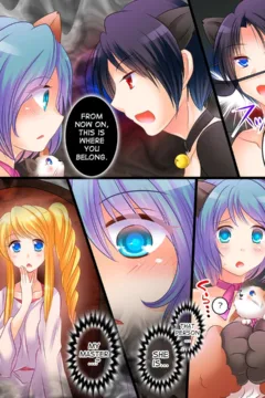 Let’s Look for the Kitty! (13)