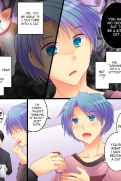 Let’s Look for the Kitty! (5)