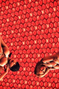 The-Growing-Circle-4-CE-115