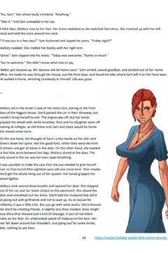 JDseal – The Dark Stone Chapter 100020