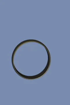 Magical Ring of Possession (33)