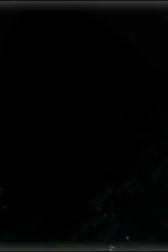 Dan’s Distortion 2  (30)