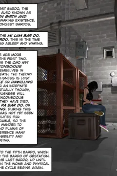 Freehope 6- Forever Endeavor (9)