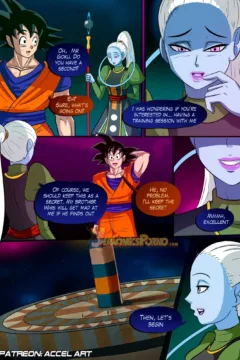 Special Training- Accel Art (3)