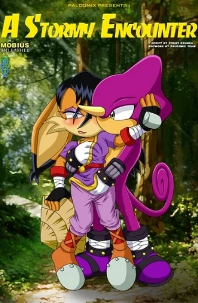 A Stormy Encounter- Palcomix
