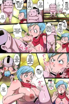 Bitchi Sisters Supers- Rikka Kai (Dragon Ball) (12)