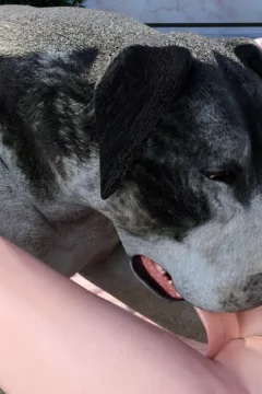 Felicitys_Holiday_Encounter_44_shentai.org