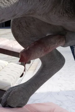 Felicitys_Holiday_Encounter_64_shentai.org