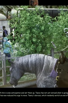 [T&T] Crazy_1586700-0042