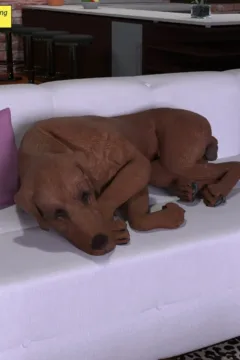 With One Partner (40)