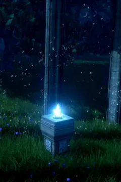 A Mysterious Ritual (11)