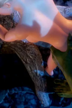 A Mysterious Ritual (49)