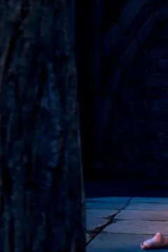 A Mysterious Ritual (66)