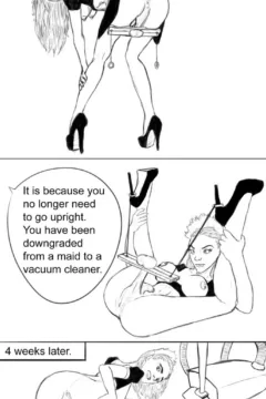 Ashifff – The Maid_1619716-0007