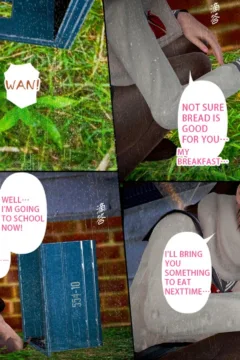 Ayaka’s diary 4  (4)