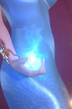 Magic Christmas (14)