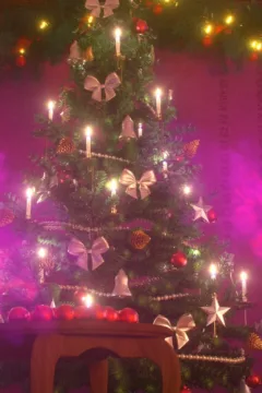 Magic Christmas (20)