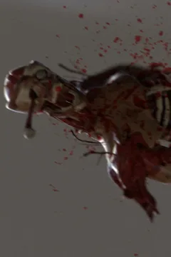 Micro Travelers (15)