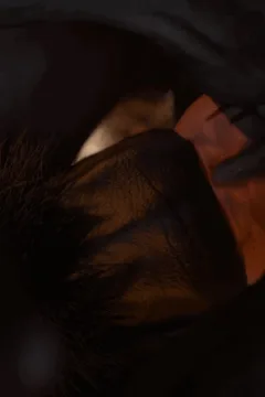 Outside of the Ring (19)