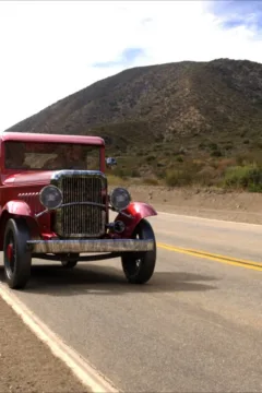 Strange and Steamy (80)