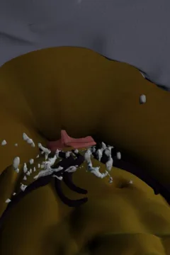 – The Sex Elf Quest (109)