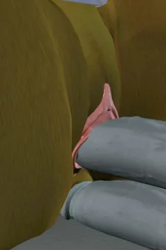 – The Sex Elf Quest (136)