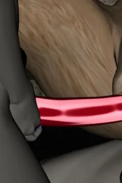 The Sex Elf Quest (227)