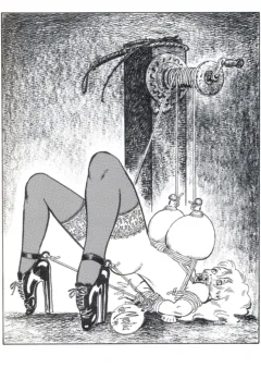 Bondage Obsession  (21)