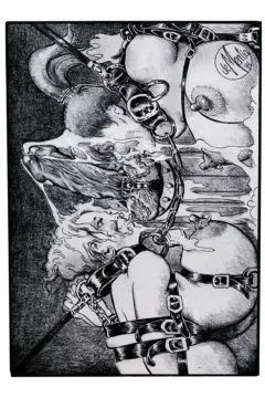 Bondage Obsession  (46)