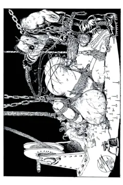 Bondage Obsession  (70)