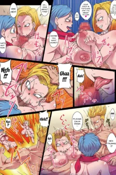 Bulma to 18-gou  (17)