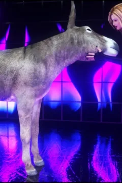 CGS_129_Depravation_tour_28