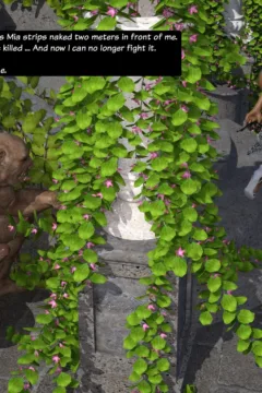 Daddy´s birthday (6)