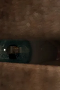 Game of Thrones  (100)