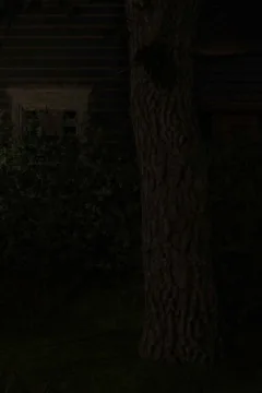 Jack O’Lanter (21)