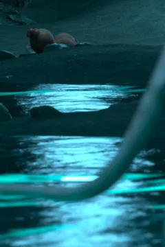 Passion of the Flesh 2 (14)