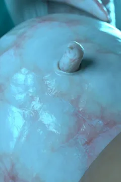 Passion of the Flesh 2 (63)