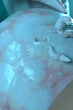 Passion of the Flesh 2 (65)