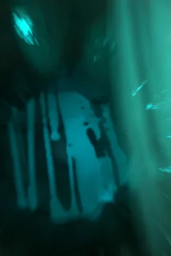 Passion of the Flesh 2 (7)