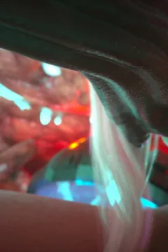 Passion of the Flesh 2 (84)