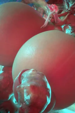 Passion of the Flesh 2 (94)