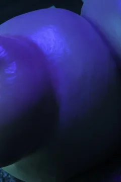 Passion of the Flesh 3 (44)