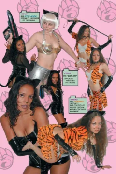 Purrr-Fect Weapons  (28)