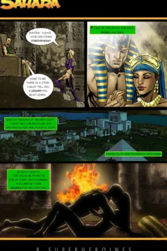 The Magazine 12 (21)