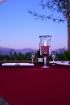 Escort Girl 10.page25