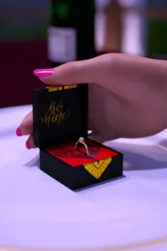 Escort Girl 10.page30