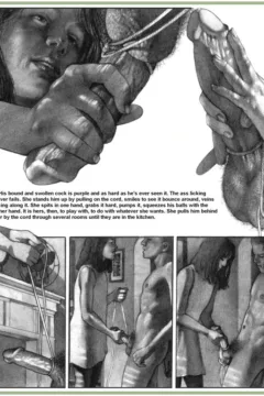 Shadow & Light 3 (21)