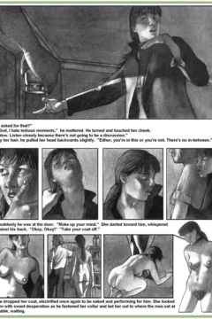 Shadow & Light 3 (33)