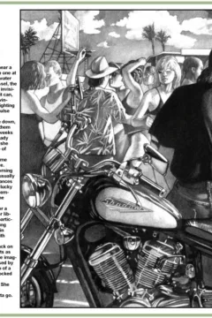 Shadow & Light 3 (5)