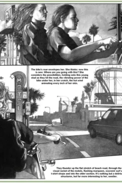 Shadow & Light 3 (7)